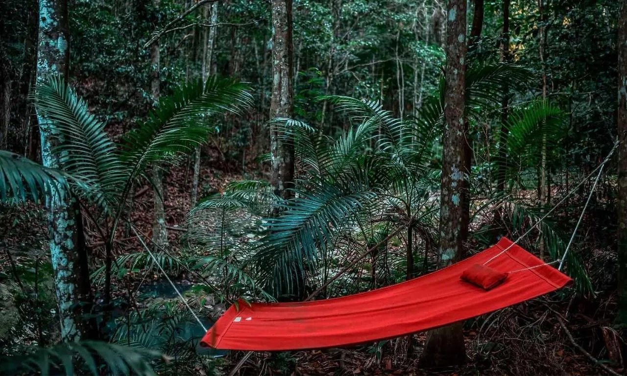 Narrows Escape Rainforest Retreat Montville Chata