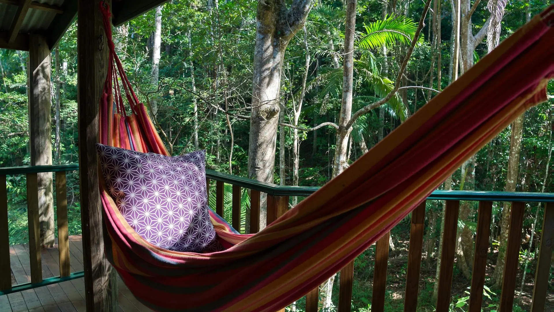 Narrows Escape Rainforest Retreat Montville Austrálie