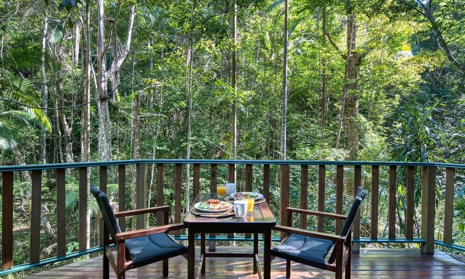Chata Narrows Escape Rainforest Retreat Montville Austrálie
