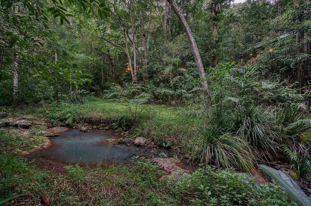 Narrows Escape Rainforest Retreat Montville Austrálie