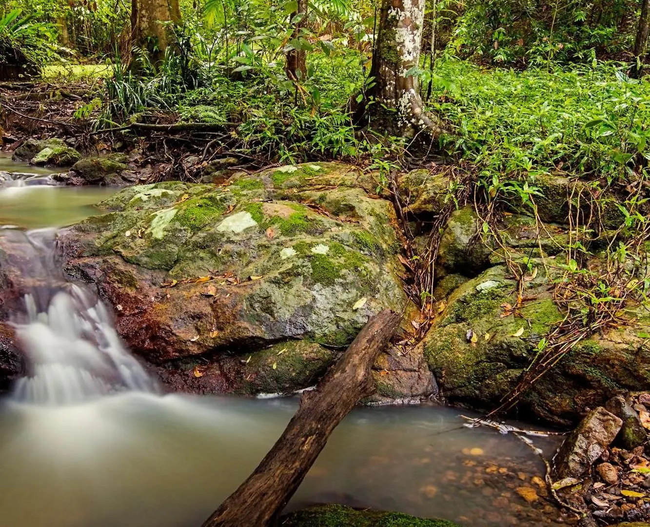 Narrows Escape Rainforest Retreat Montville Austrálie